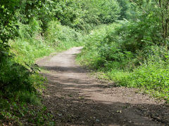 Penllwyn Tramroad near Wattsville goods yard, August 2012